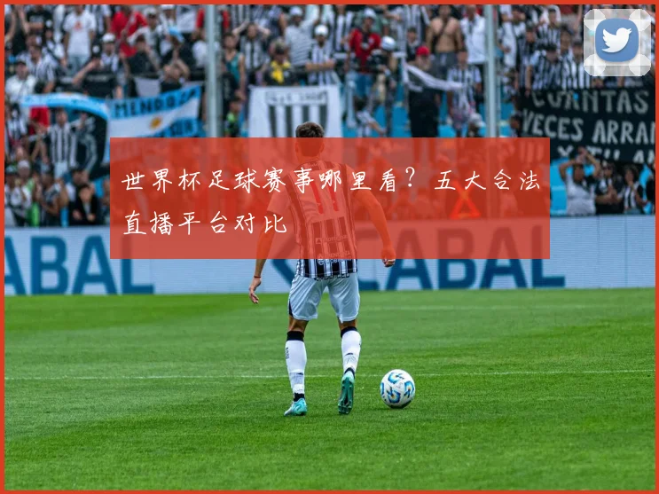 世界杯足球赛事哪里看？五大合法直播平台对比